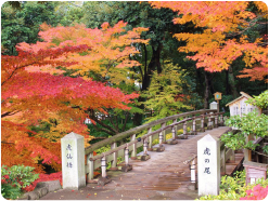 季節ごとに様々な顔を見せる徳川園