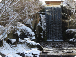 季節ごとに様々な顔を見せる徳川園