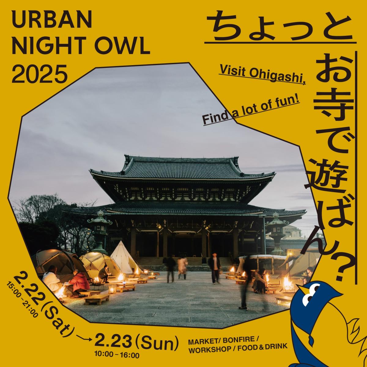 URBAN NIGHT OWL 2025