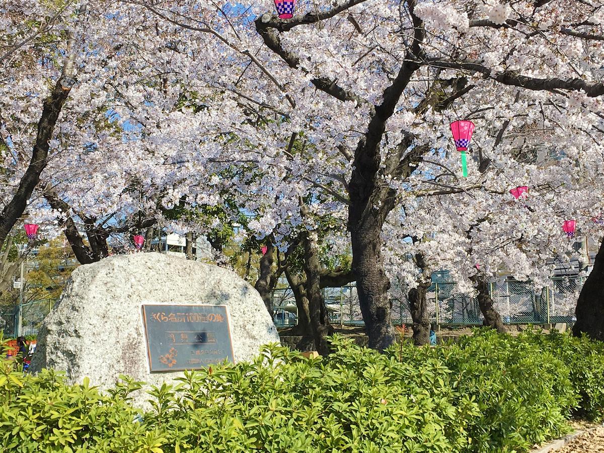 中止 鶴舞公園 花まつり 公式 名古屋市観光情報 名古屋コンシェルジュ