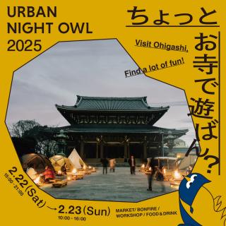 URBAN NIGHT OWL 2025