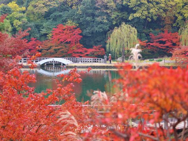 與西木舉行的德川園紅葉節