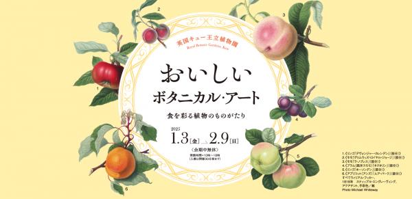 松坂屋美術館 おいしいボタニカル･アート 食を彩る植物のものがたり