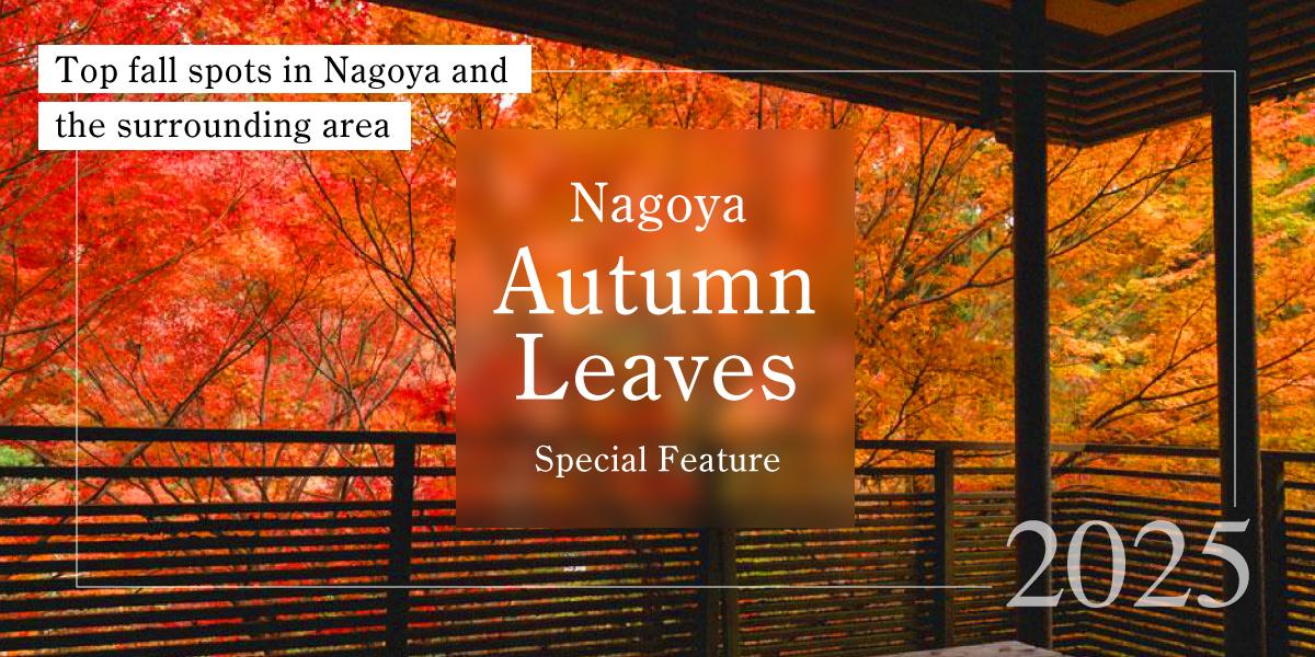 Nagoya autumn leaves