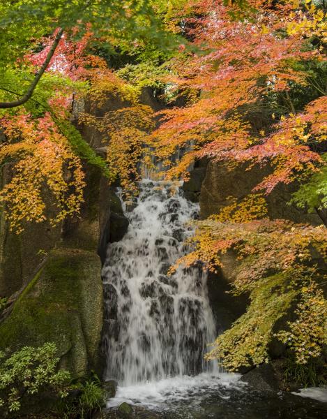 名古屋的紅葉特集 專題 名古屋旅遊官方網站visit Nagoya