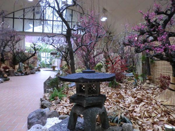 Meijo Park Flower Plaza plum blossoms