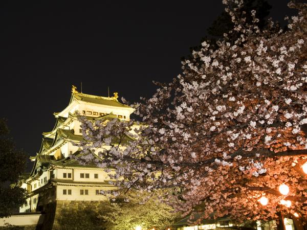 行こう 春爛漫の名古屋へ 名古屋のお花見特集 特集 公式 名古屋市観光情報 名古屋コンシェルジュ