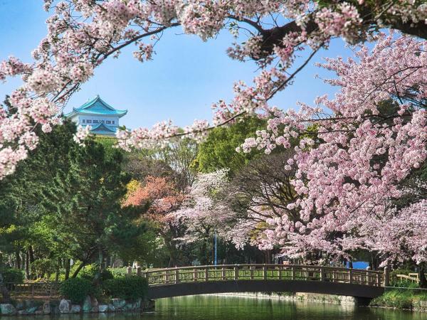 名城公園の桜