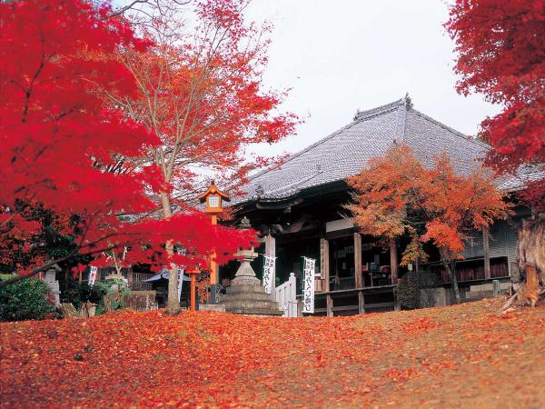 名古屋の紅葉特集 特集 公式 名古屋市観光情報 名古屋コンシェルジュ