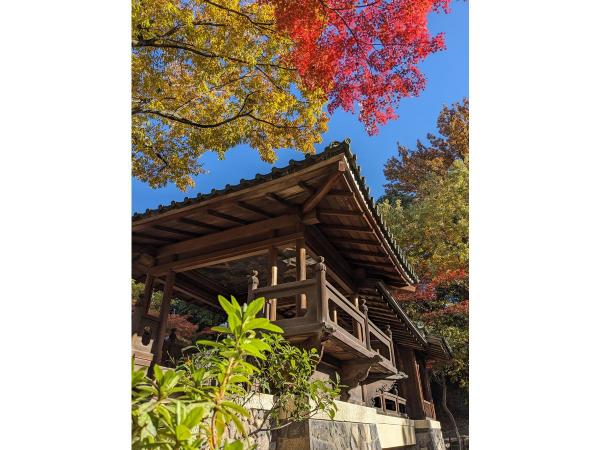 Yokiso Garden