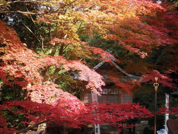 Jakkoin Temple