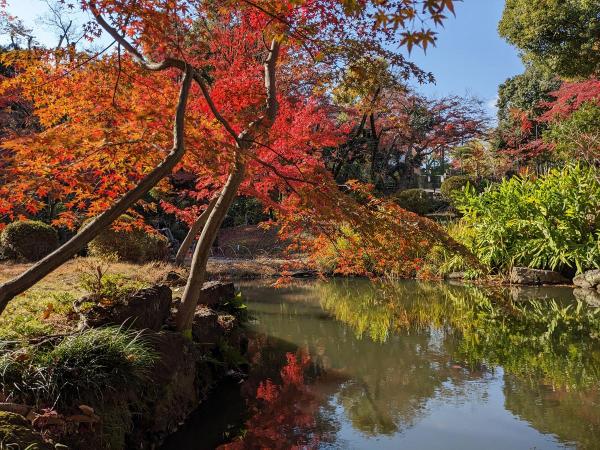 Yokiso Garden