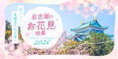 行こう!春爛漫の名古屋へ 名古屋のお花見特集