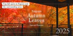 Nagoya autumn leaves