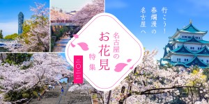 鶴舞公園 花まつり 公式 名古屋市観光情報 名古屋コンシェルジュ