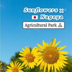 @nagoya_info_en