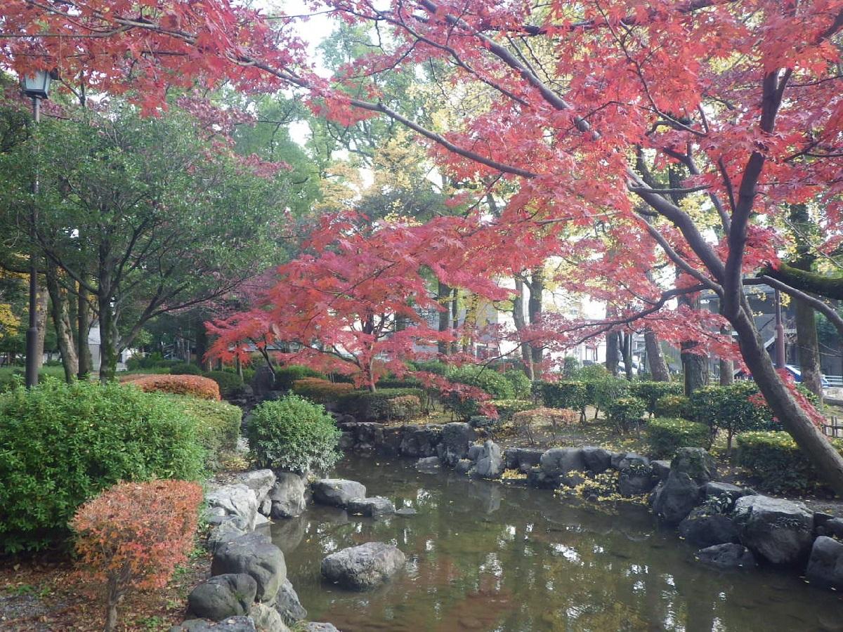 中村公园 名古屋旅游官方网站visit Nagoya