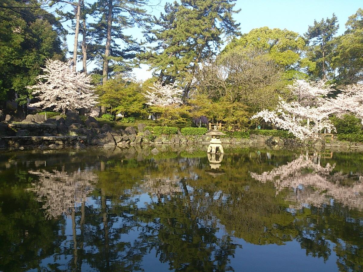 中村公园 名古屋旅游官方网站visit Nagoya
