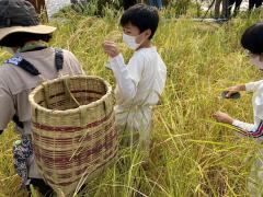 Bảo tàng di tích Aichi Asahi