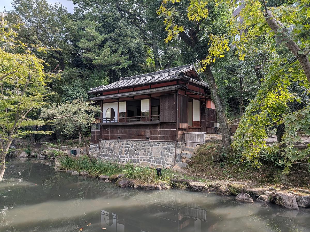 Tea Ceremony Experience