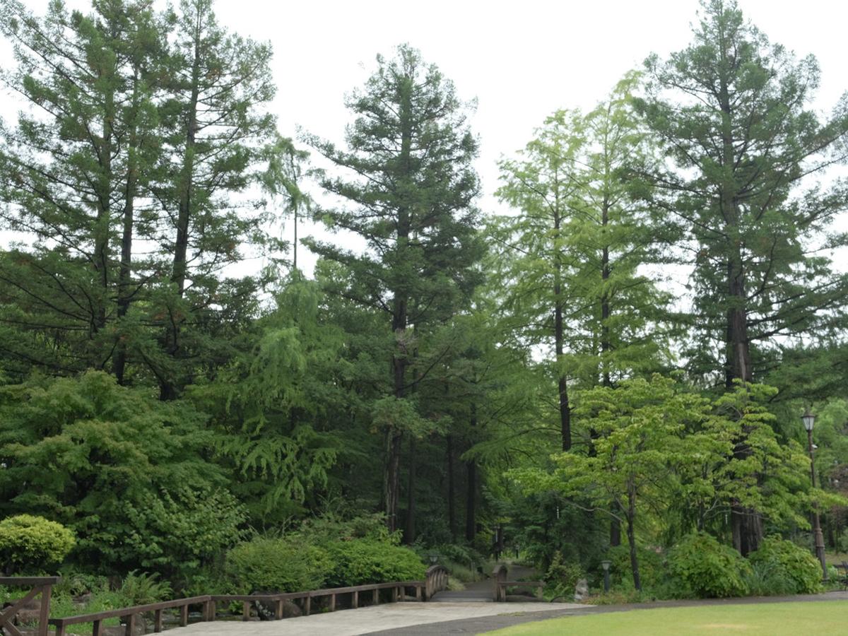 名古屋の都市部まち歩き《久屋大通公園・フラリエ編》