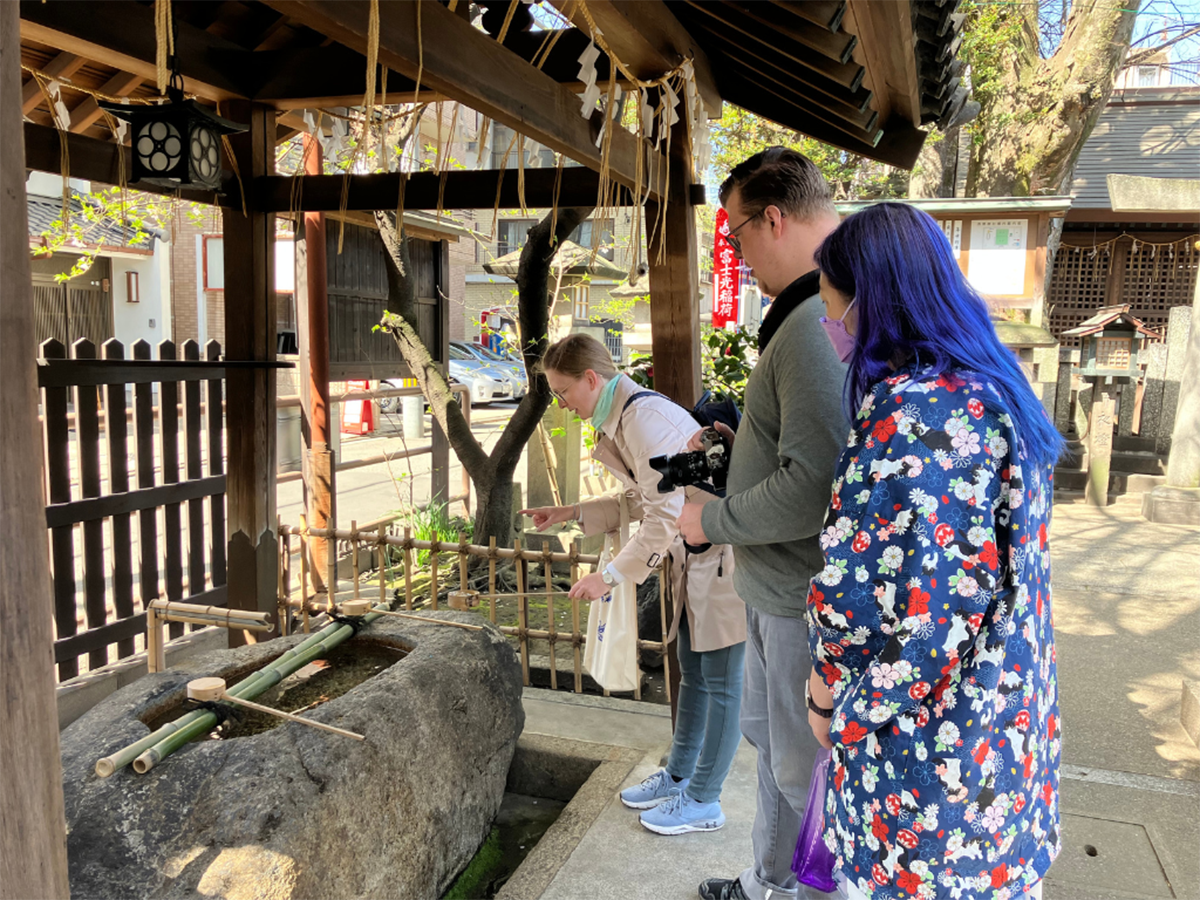 Historic Townscape Street Food Walking Tour