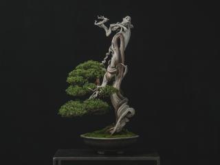 Experience Japanese Culture FirsthandBonsai Experience