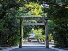 Shrine Visit