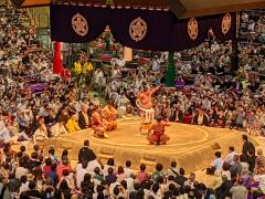 Sumo Tournament Experience in Nagoya