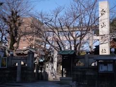 八坂神社提灯祭りと美濃路まち歩き